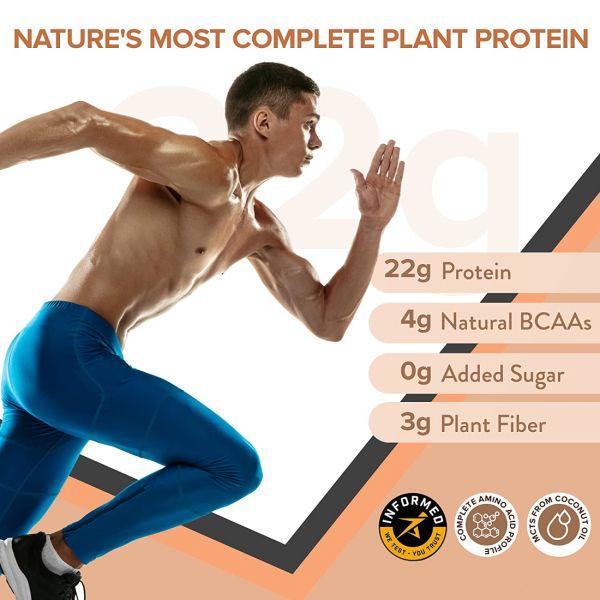 Wellbeing Nutrition Superfood Plant Protein, 500gm