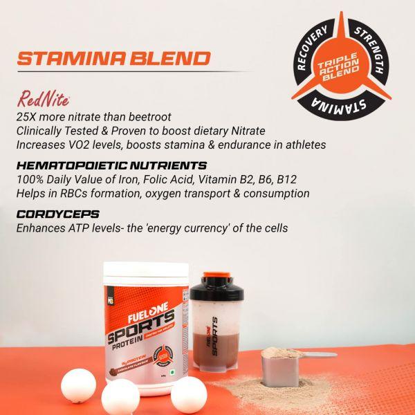 MuscleBlaze Fuel One Sports Chocolate Protein, 400gm