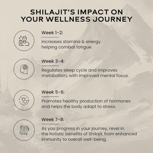 Wellbeing Nutrition Pure Himalayan Shilajit, 200gm