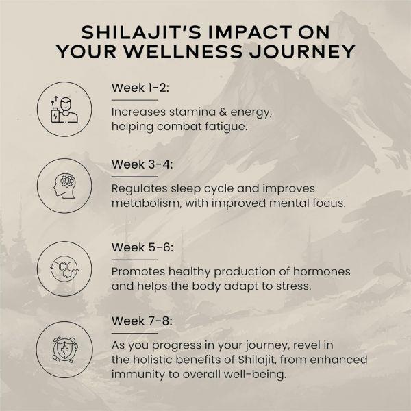 Wellbeing Nutrition Pure Himalayan Shilajit Gold, 200gm