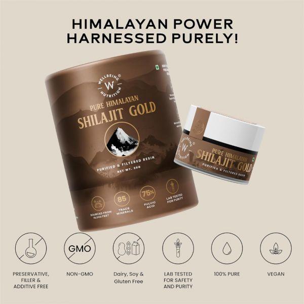 Wellbeing Nutrition Pure Himalayan Shilajit Gold, 200gm