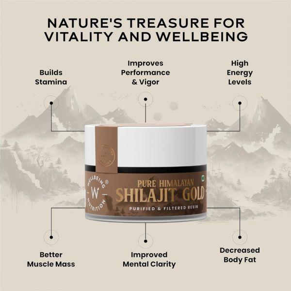 Wellbeing Nutrition Pure Himalayan Shilajit Gold, 200gm