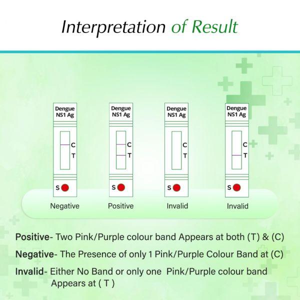 Rapid News Dengue Test Kit, 1kit