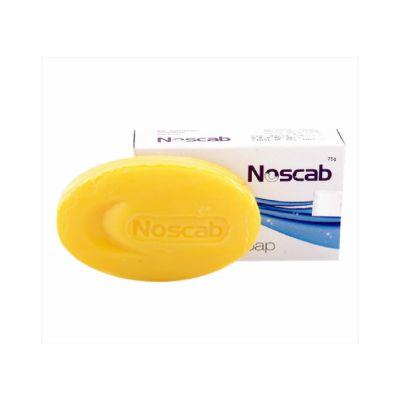 Noscab Soap, 75gm