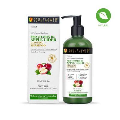 Soulflower Herbal 100% Natural Himalayan Pro Vitamin B5 1% Apple Cider Vinegar Glossing Shampoo, 300ml	