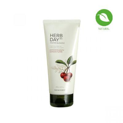 The Face Shop Herb Day 365 Master Blending Foaming Cleanser Acerola & Blueberry, 170ml