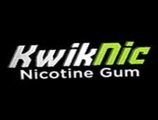 Kwiknic