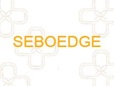 Seboedge